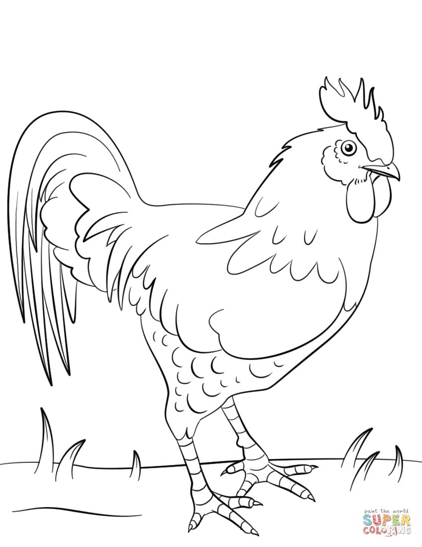 848x1098 Rooster Coloring Page On Chicken Coloring Pages