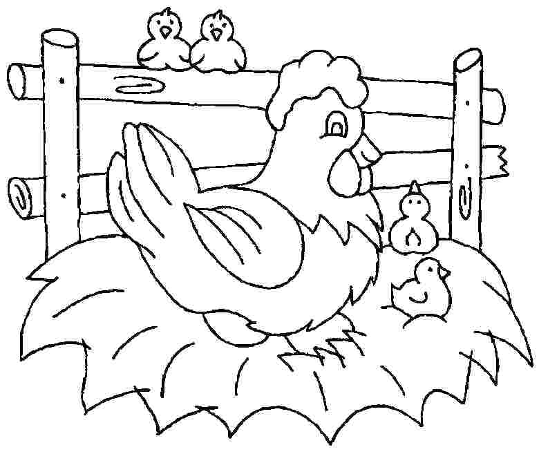 780x657 Chick Coloring Page Cute Hatching Pages Chicken Minecraft Chic