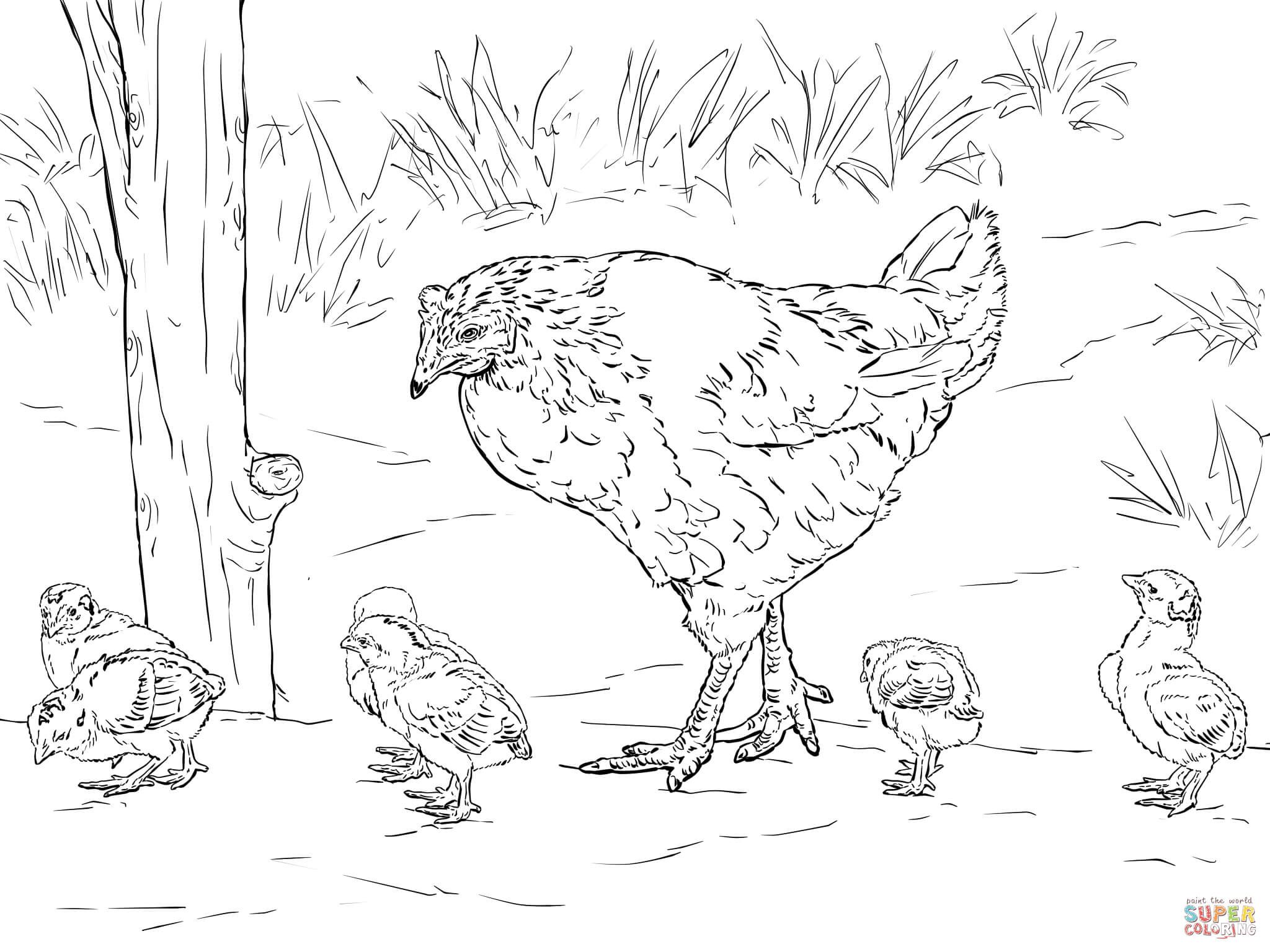 2048x1536 Hen Sits On Eggs Coloring Page Free Printable Coloring Pages