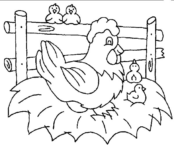 600x498 Little Chicken Wait For Their Mother Hatching Egg Coloring Pages