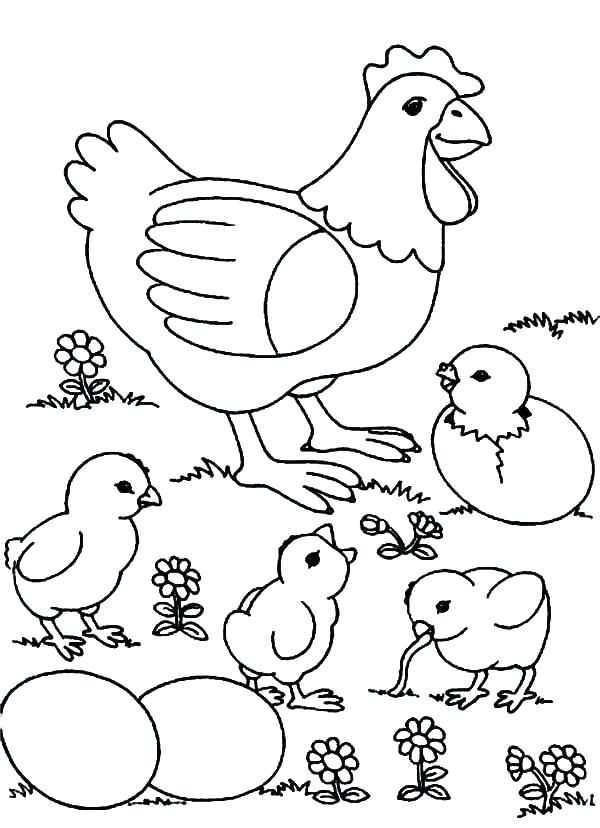 600x828 Baby Chick Coloring Pages Chick Coloring Pages Also Baby Chick