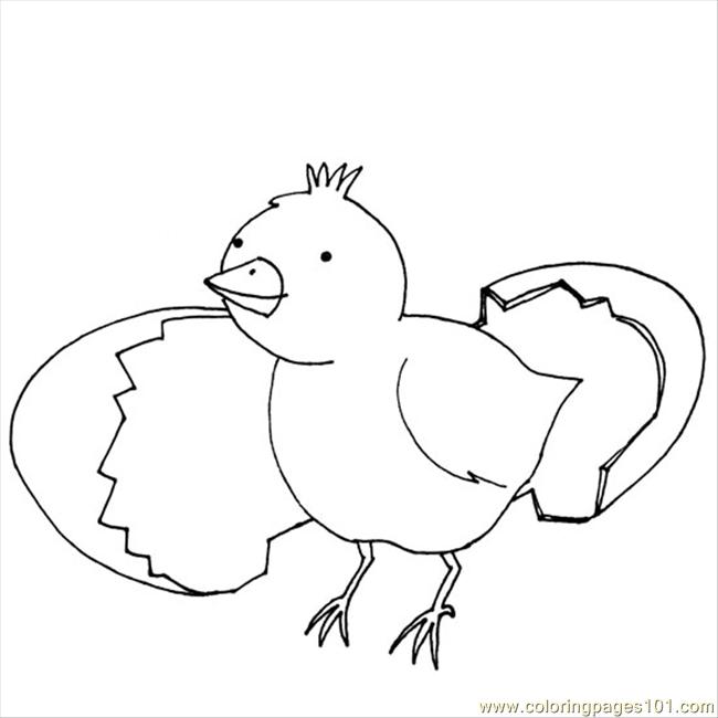 650x650 Chick Coloring Pages Printable. Baby Chick Pictures To Color Kids