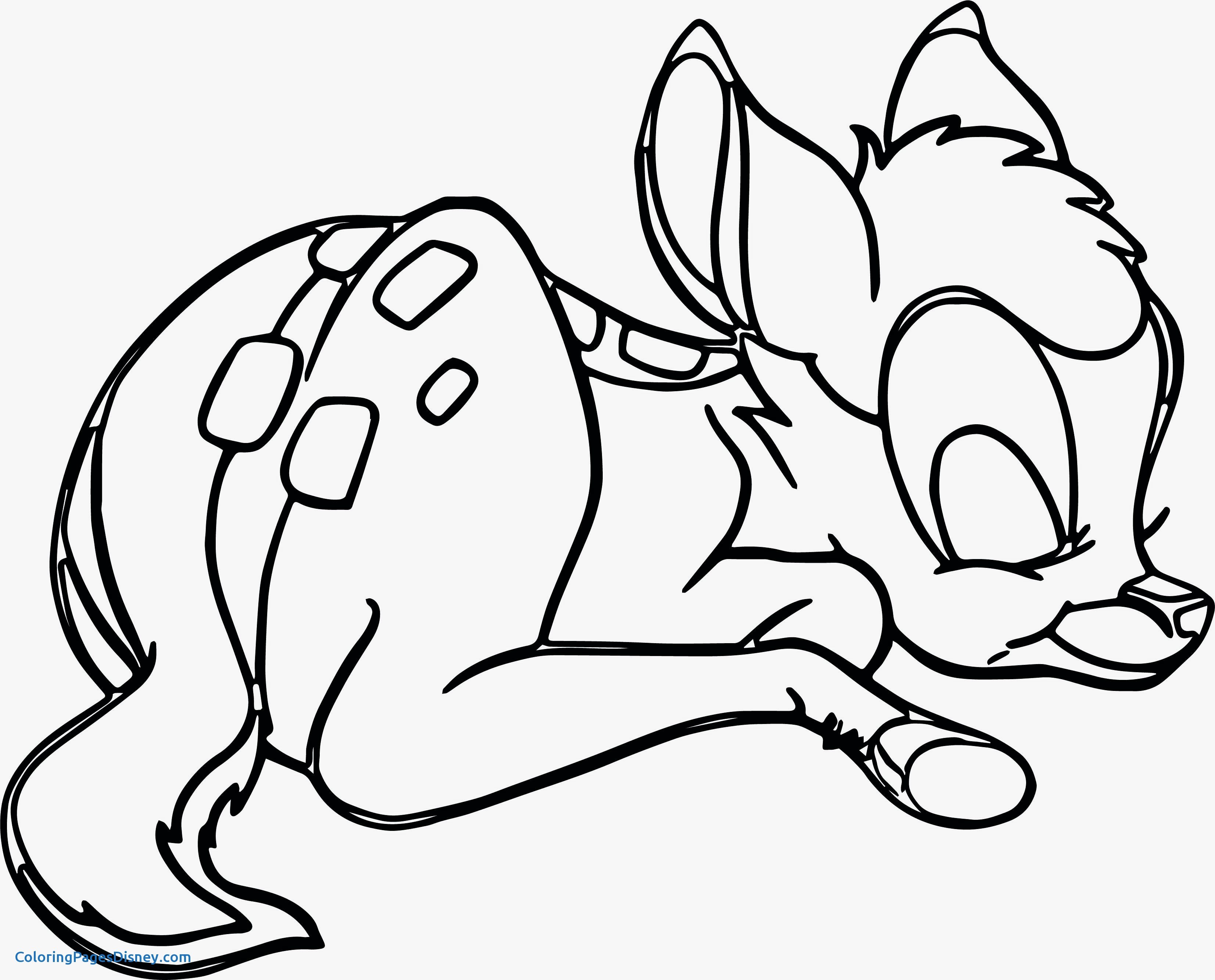 3306x2668 Chicken Little Coloring Pages Elegant Drawing Chicken Drumstick
