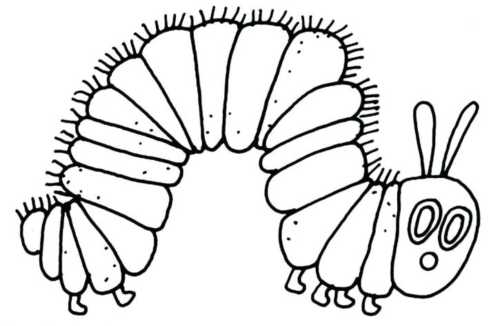 728x473 Sketch Of Fried Chicken Drumstick Coloring Pages Flowers Roses