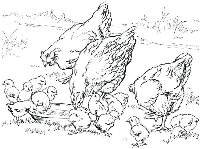 700x517 Coloring Pages For All Ages French Fries C Pages Chicken Nuggets