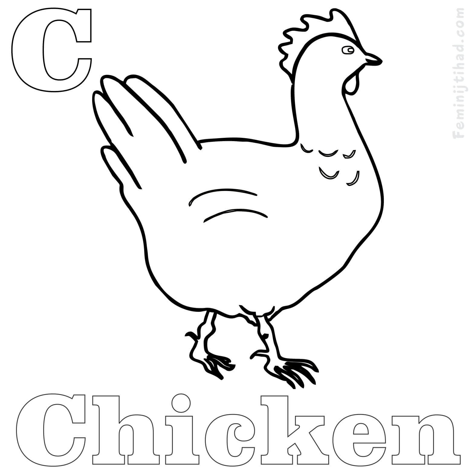 1575x1575 Chicken Coloring Pages