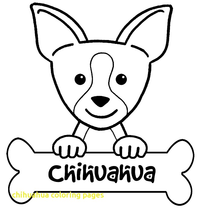 667x705 Chihuahua Coloring Pages