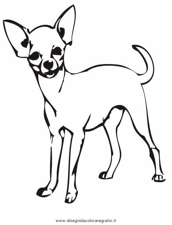576x754 Pin Chihuahua Coloring Pages Printables Exquisite Minds Home Page