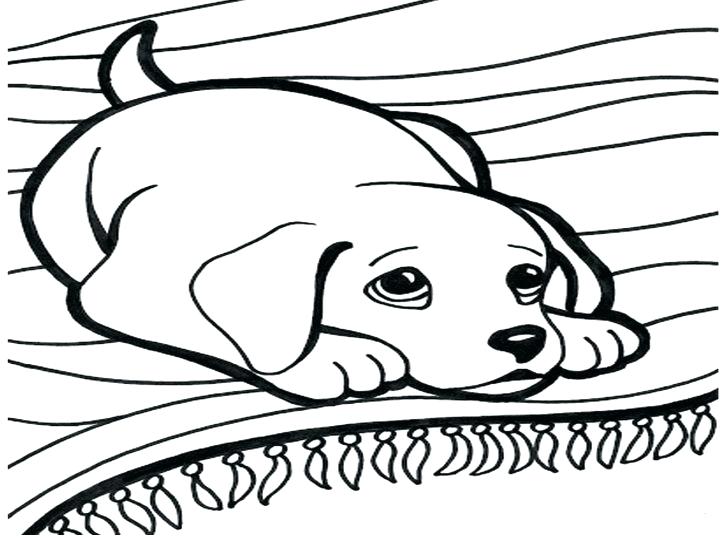 728x546 Coloring Pages Flowers Hard 5 Marvelous Pug Baby Chihuahua Dog