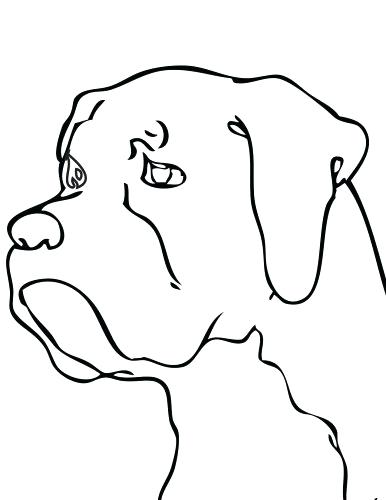 386x500 Chihuahua Coloring Page Coloring Page Chihuahua Coloring Pages