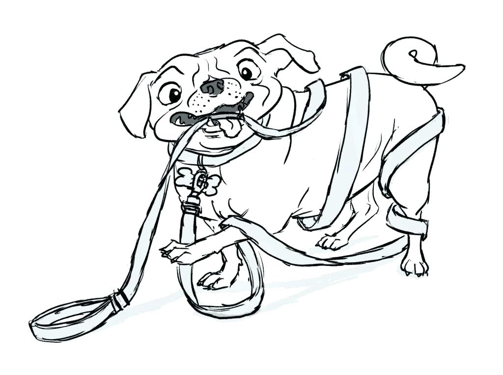 1024x764 Chihuahua Coloring Pages Chihuahua Coloring Page Chihuahua