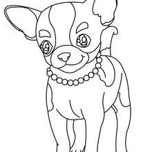 220x220 Husky Coloring Pages