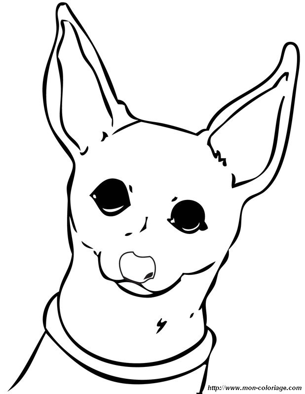 618x800 Beverly Hills Chihuahua Coloring Pages. Beverly Hills Chihuahua