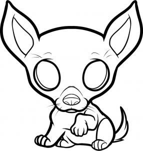286x302 How To Draw A Chihuahua Puppy, Chihuahua Puppy Step 6 Drawing