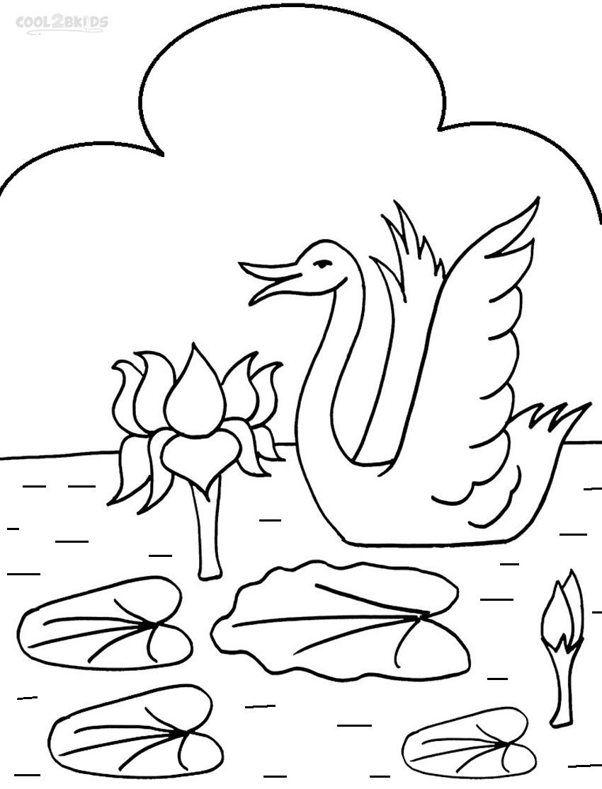 850x1115 Printable Lily Pad Coloring Pages For Kids Cool2bkids Plant