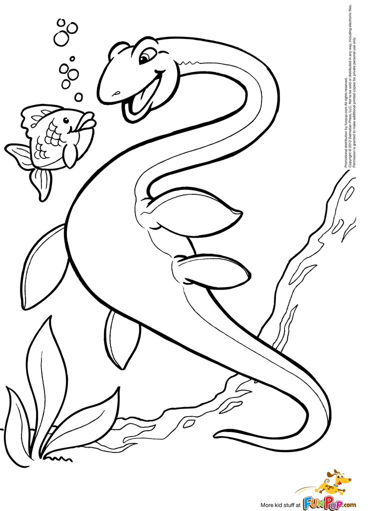 736x1023 1273 Best Desenhos Images On Colouring In, Coloring