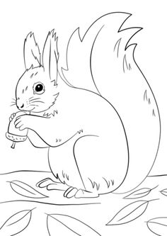 236x333 The Three Little Kittens Children's Coloring Books