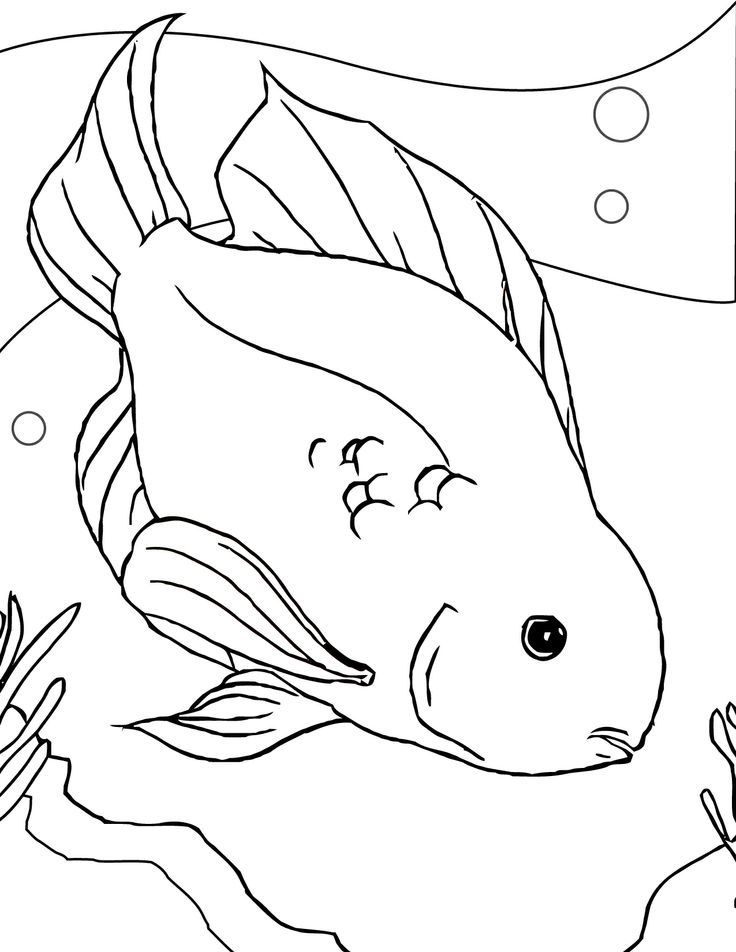 736x952 28 Best Animals Images On Children Coloring Pages