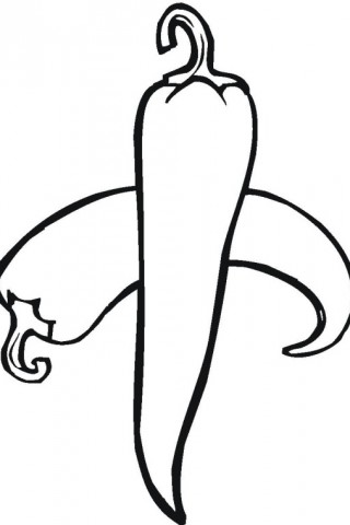 320x480 Chili Pepper Coloring Pages Download Free Printable Coloring Pages