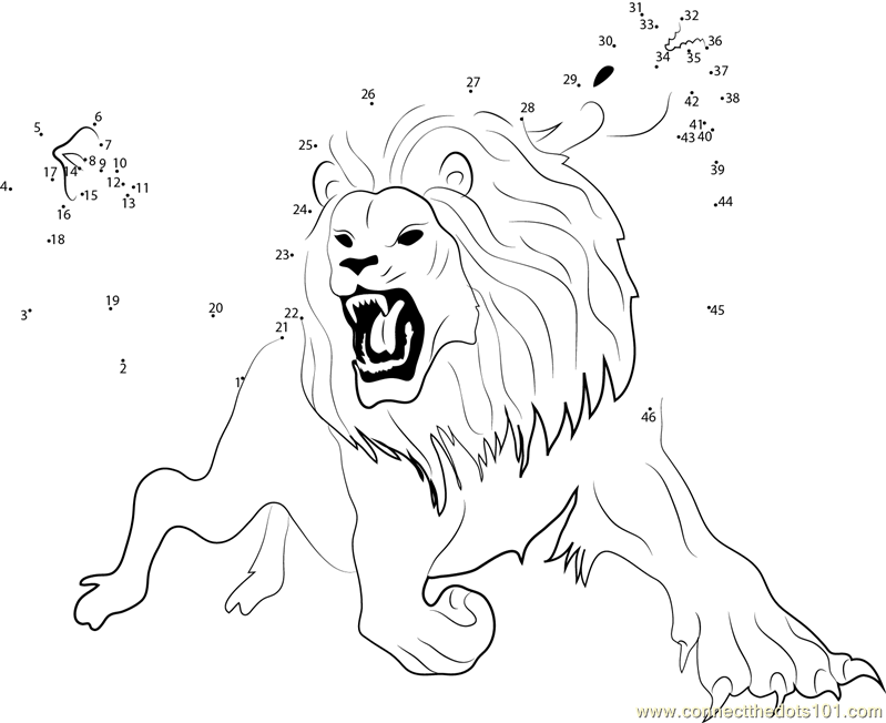 799x652 Chimera