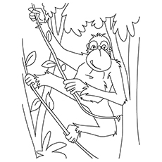 Chimp Coloring Pages