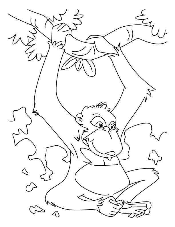 612x792 Chimpanzee Coloring Pages Chimpanzee Coloring Pages Images Baby