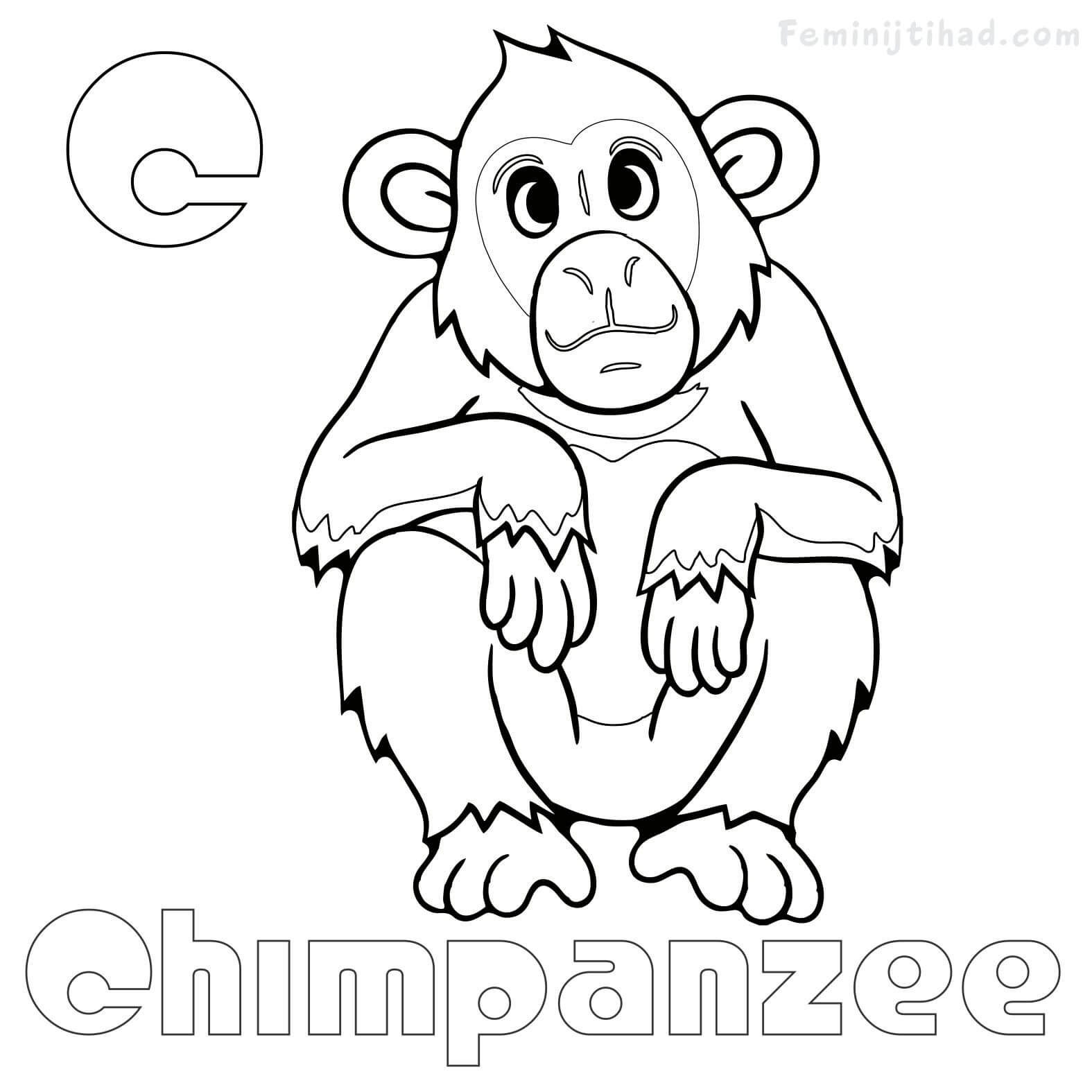 1575x1575 Free Chimpanzee Coloring Pages Coloring Pages For Kids