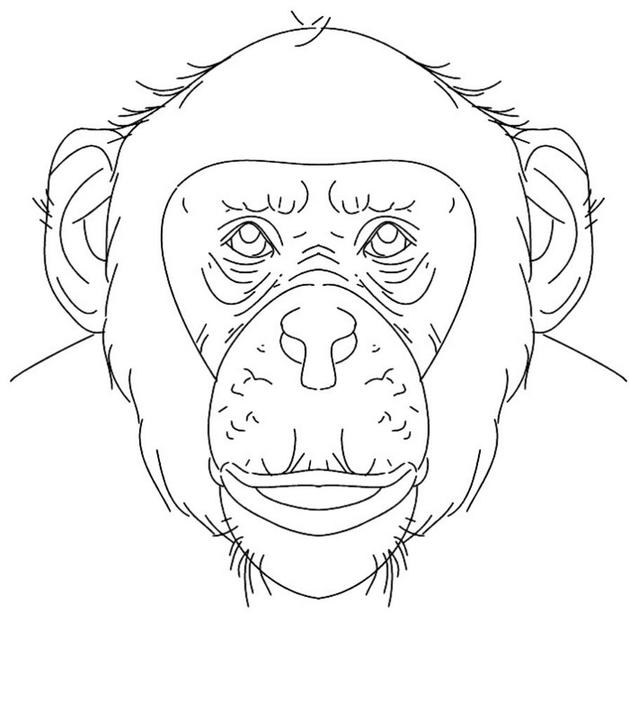 896x1024 Chimpanzee Coloring Pages Acpra
