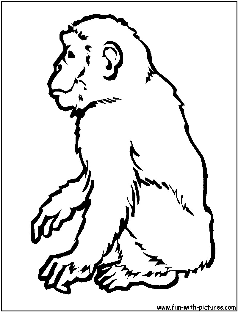 800x1050 Last Chance Chimpanzee Coloring Page Gites Loire Valley Endear Acpra