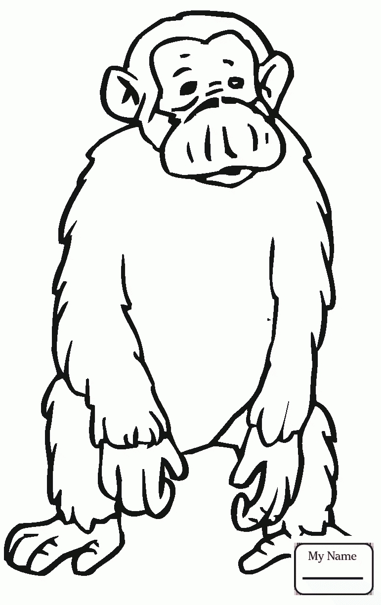 771x1224 Unique Chimpanzee Page To Color Gallery Printable Coloring Sheet