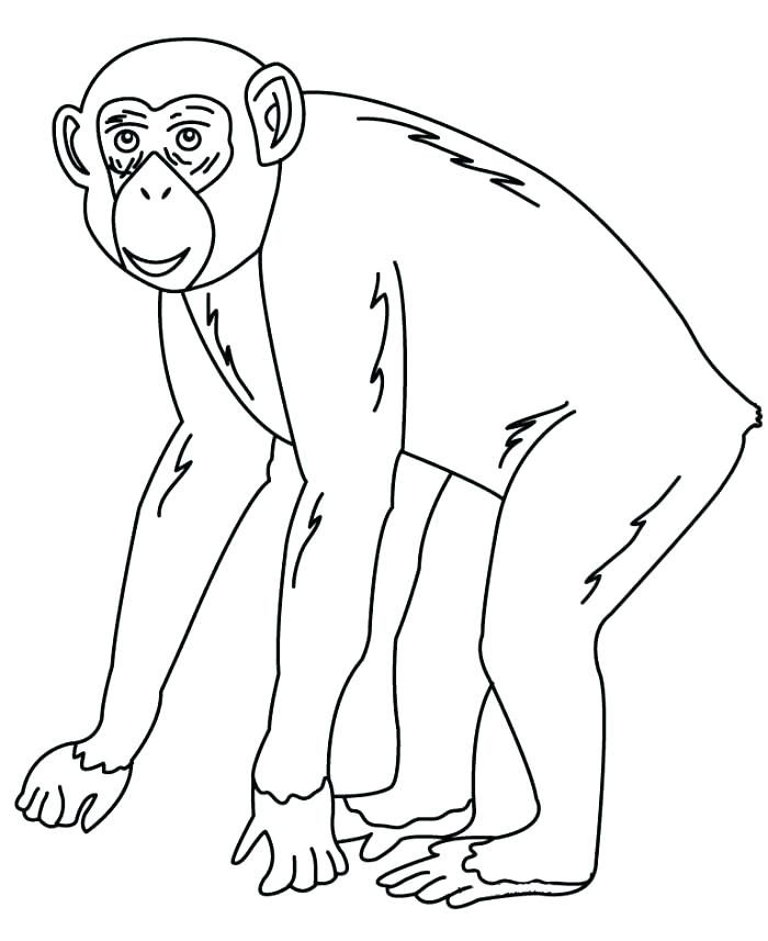 700x857 Chimpanzee Coloring Page Impair.co