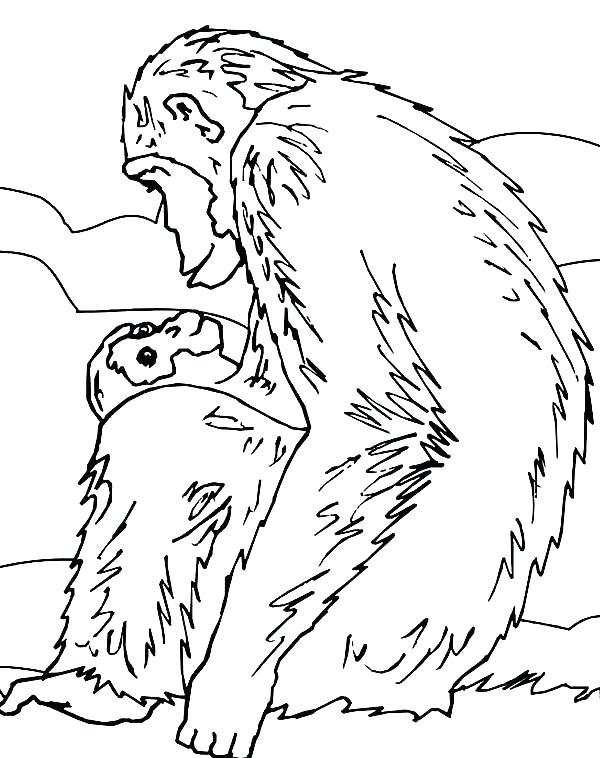 600x758 Chimpanzee Animal Coloring Pages Chimpanzee Coloring Page