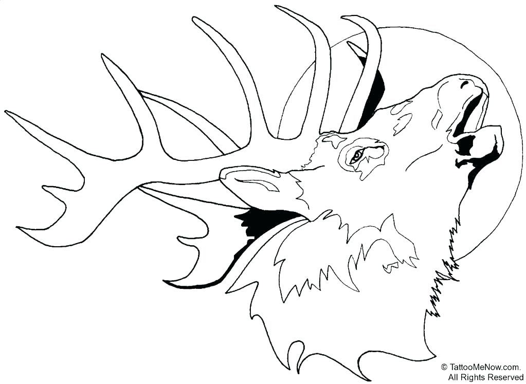 1023x747 Elk Coloring Pages Animal Coloring Pages Online Gerbil Animal