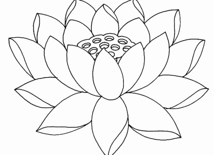440x320 Lotus Flower Coloring Page Unique Lotus Coloring Pages Luxury