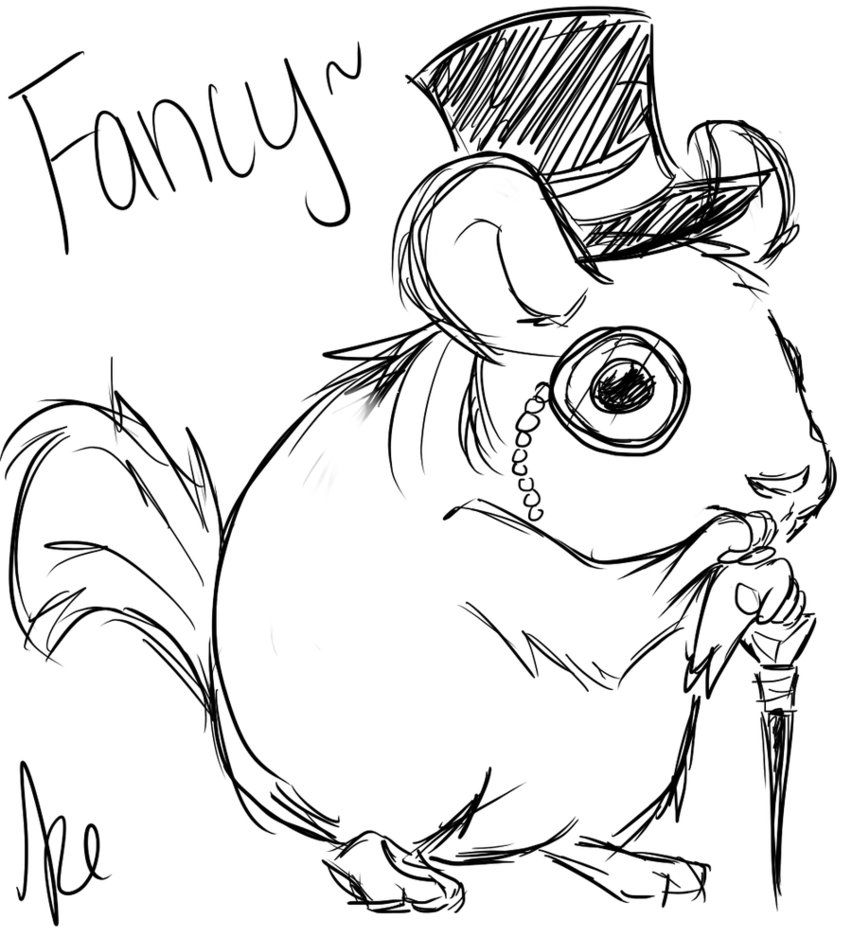 852x937 Chinchilla Chinchilla Memes Amp Art Chinchillas