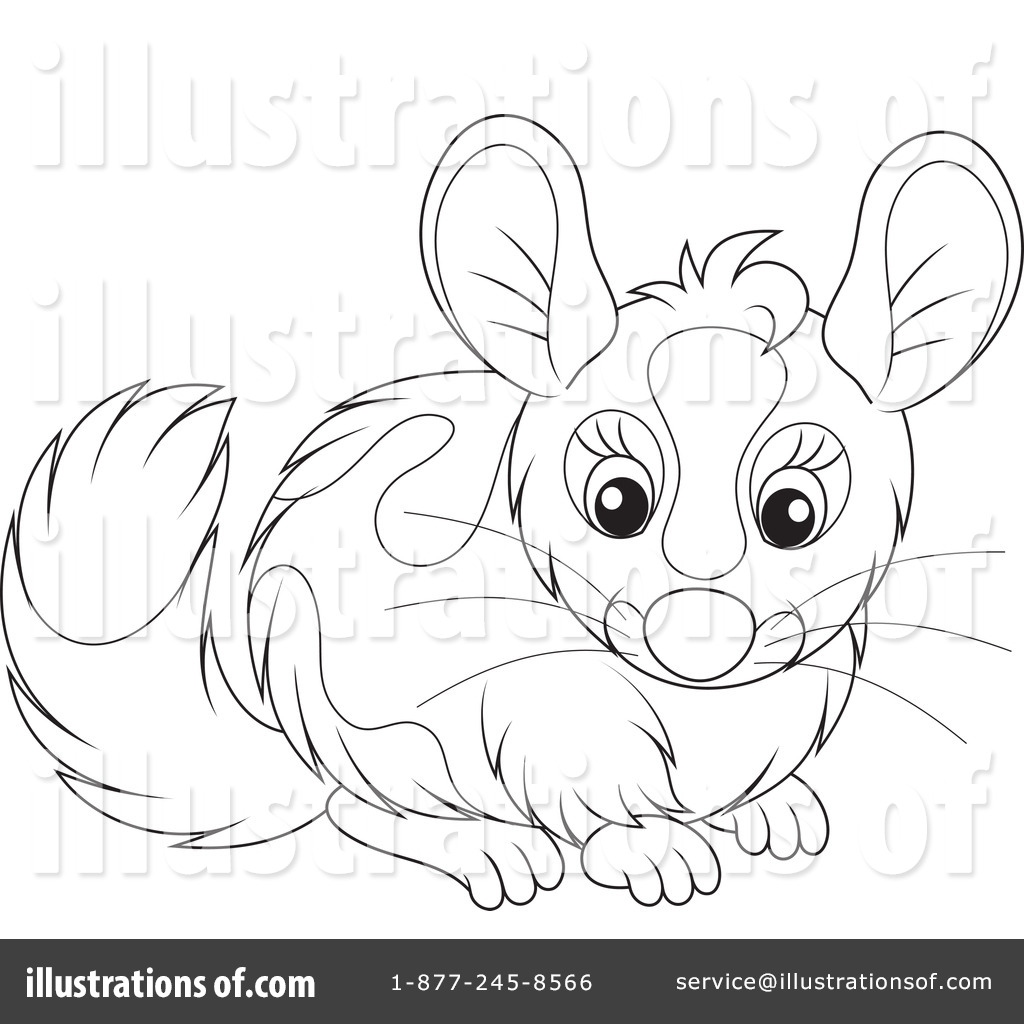 1024x1024 Chinchilla Clipart