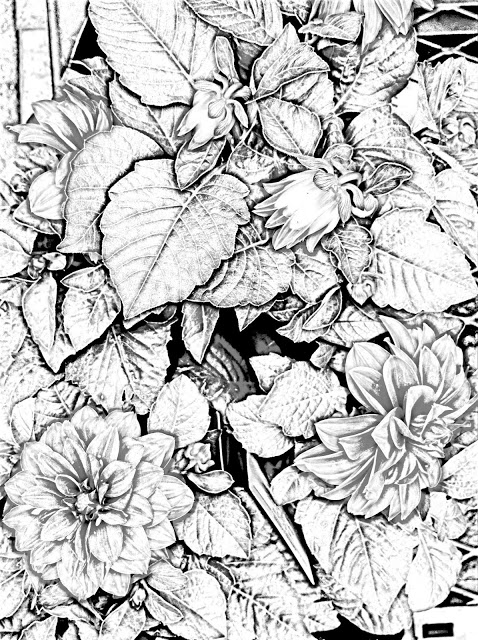478x640 Chinese Flower Coloring Pages ~ Top Coloring Pages