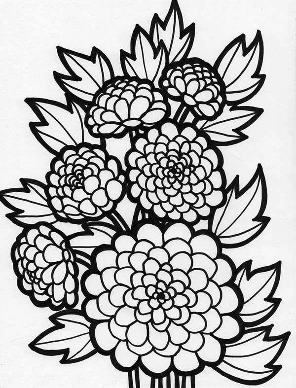600x787 Chinese Flowers Coloring Pages Bgcentrum