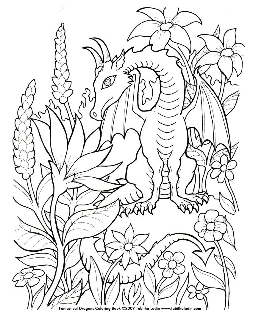 850x1100 Flower Dragon Coloring Page By
