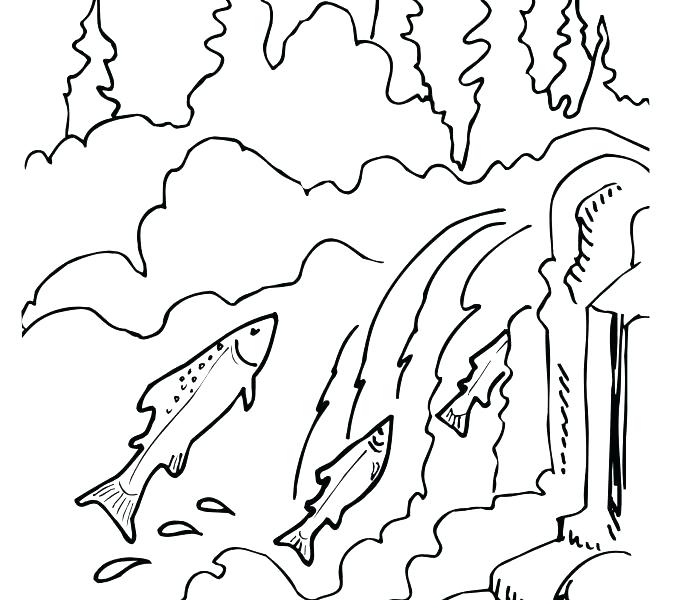 678x600 Salmon Coloring Page Salmon Coloring Pages Quilt Coloring Pages