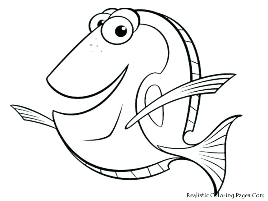 863x647 Salmon Coloring Pages Common Trout Coloring Page Brown Trout