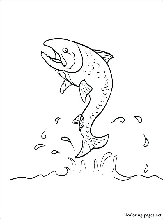 560x750 Salmon Coloring Pages Salmon Template Salmon Coloring Pages