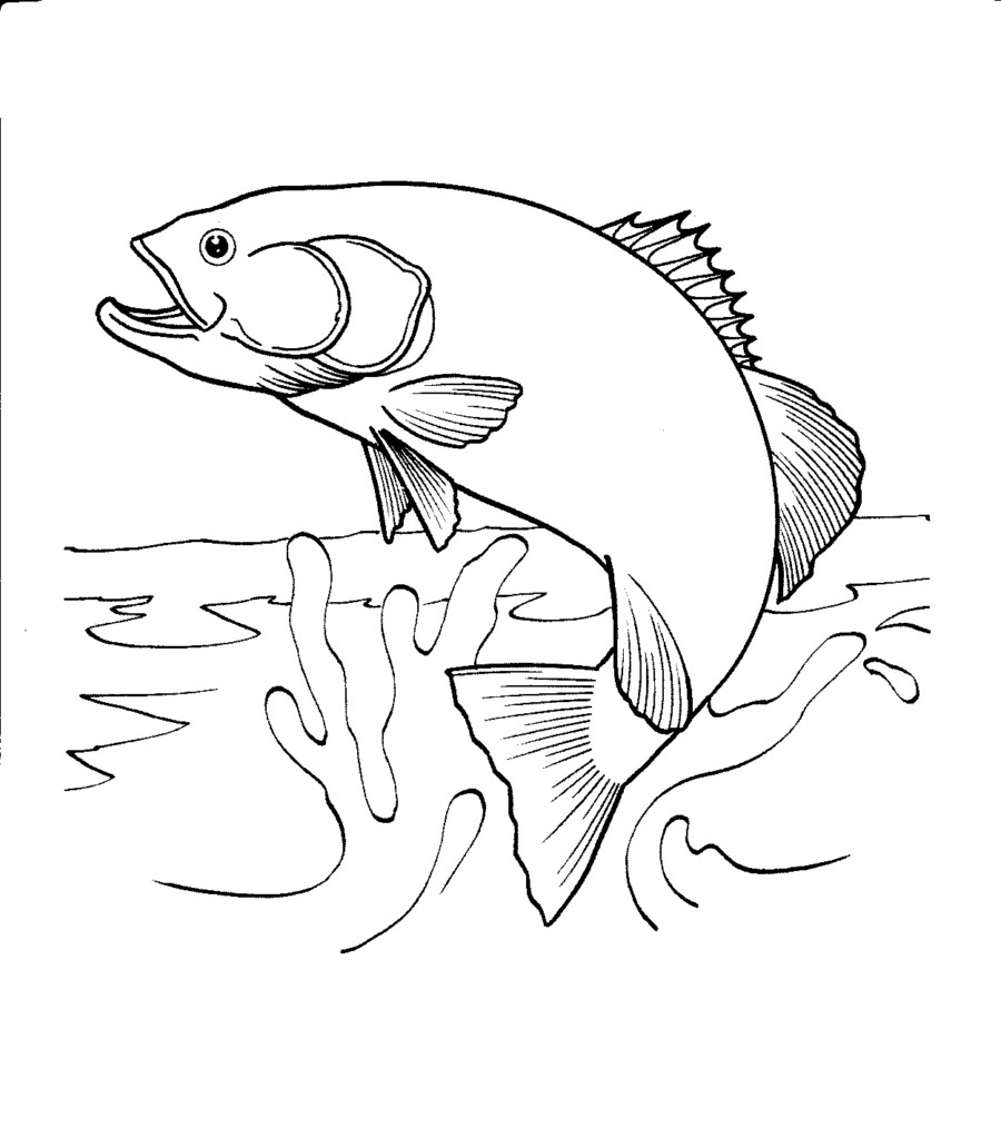 900x1014 Timely Chinook Salmon Coloring Page Jumping Out Of Water Google