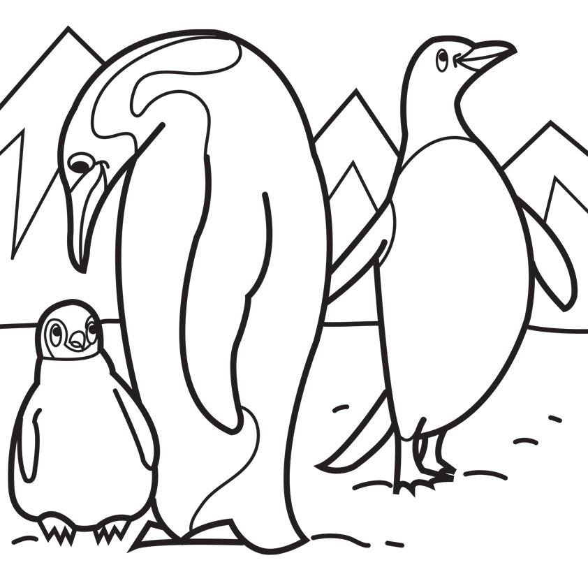 842x842 Baby Penguin Coloring Pages