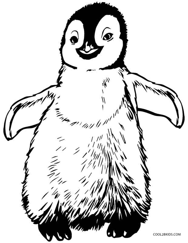 620x800 Printable Penguin Coloring Pages For Kids Cool2bkids