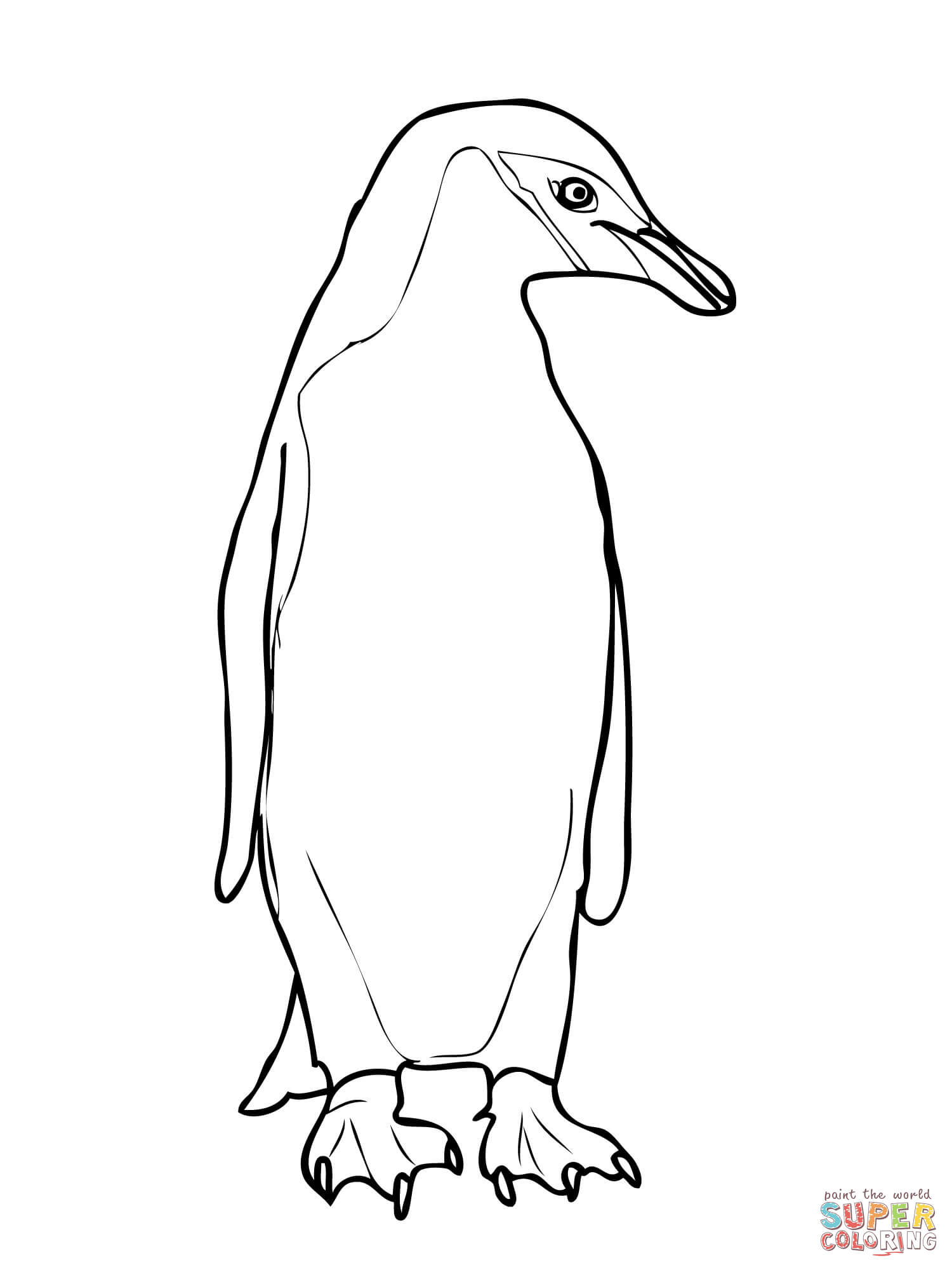 1500x2000 Chinstrap Penguin Coloring Page Free Printable Coloring Pages
