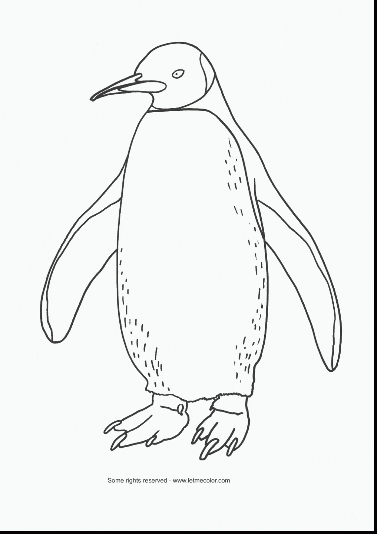 1244x1760 Coloring Pages Club Penguin Printable Best Of Coloring Pages Club