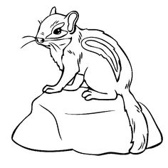236x236 Baby Seal Coloring Page Projects To Try Baby Seal