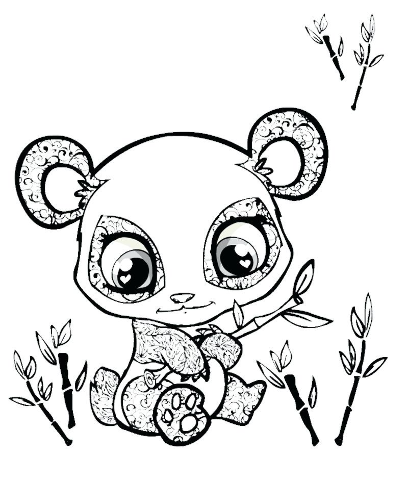 800x943 Panda Coloring Pages Educational Coloring Pages