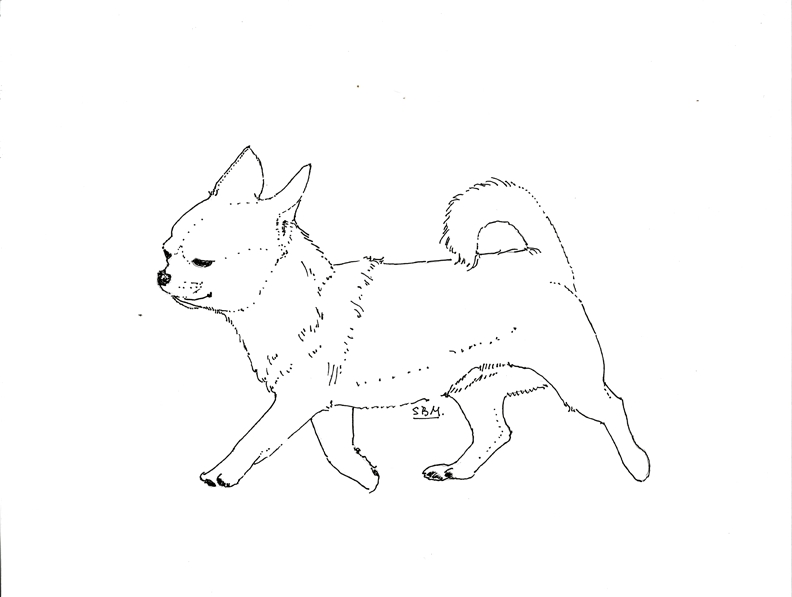 Chiwawa Coloring Pages